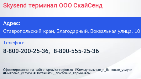 Skysend терминал ООО СкайСенд - визитка