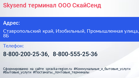 Skysend терминал ООО СкайСенд - визитка