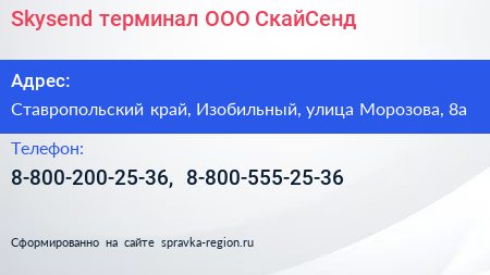 Skysend терминал ООО СкайСенд - визитка