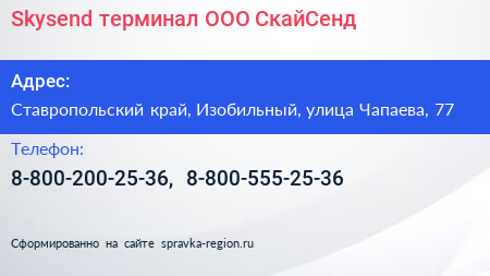 Skysend терминал ООО СкайСенд - визитка