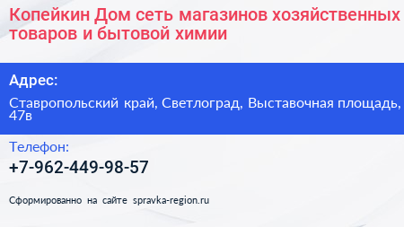 Копейкин Дом сеть магазинов хозяйственных товаров и бытовой химии - визитка