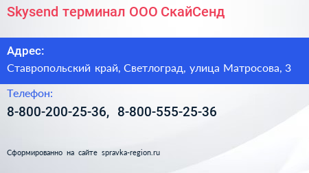 Skysend терминал ООО СкайСенд - визитка