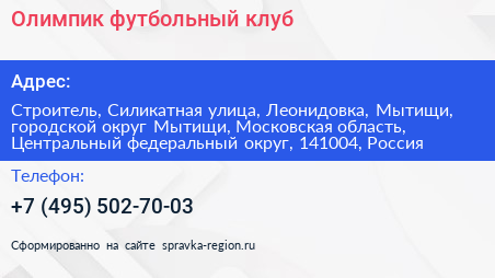 Олимпик футбольный клуб - визитка