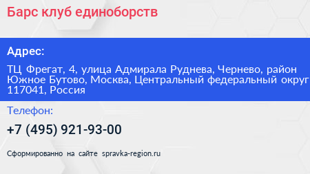 Барс клуб единоборств - визитка