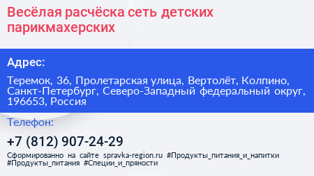 Весёлая расчёска сеть детских парикмахерских - визитка