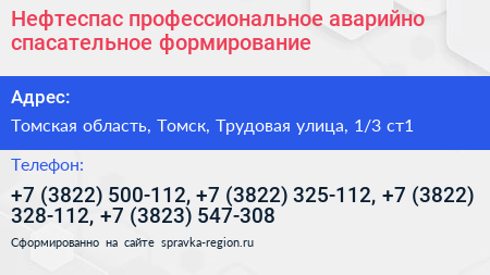 Нефтеспас профессиональное аварийно спасательное формирование - визитка
