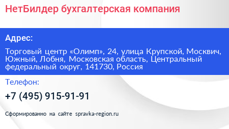 НетБилдер бухгалтерская компания - визитка