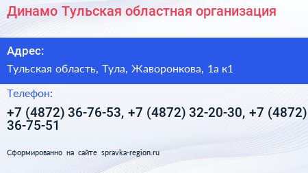 Динамо Тульская областная организация - визитка