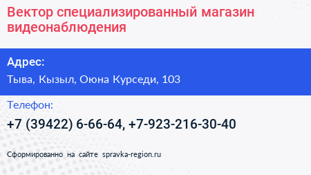 Вектор специализированный магазин видеонаблюдения - визитка