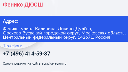 Феникс ДЮСШ - визитка