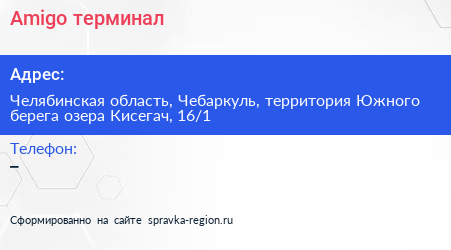 Amigo терминал - визитка