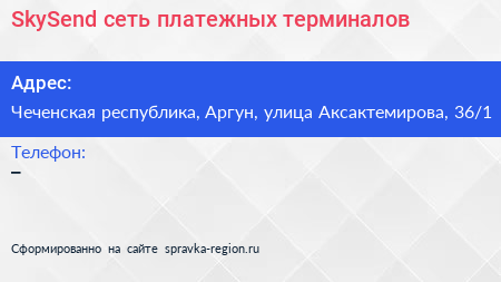 SkySend сеть платежных терминалов - визитка
