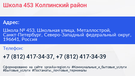 Школа 453 Колпинский район - визитка