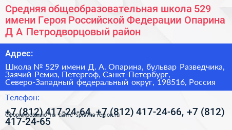 Средняя общеобразовательная школа 529 имени Героя Российской Федерации Опарина Д А Петродворцовый район - визитка