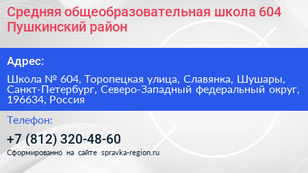 Средняя общеобразовательная школа 604 Пушкинский район - визитка
