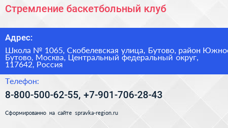 Стремление баскетбольный клуб - визитка