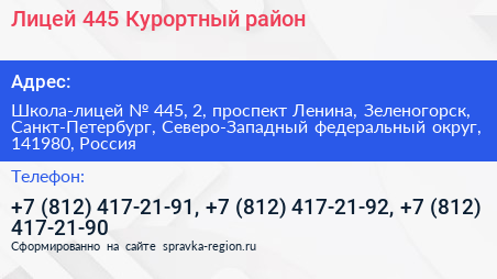 Лицей 445 Курортный район - визитка