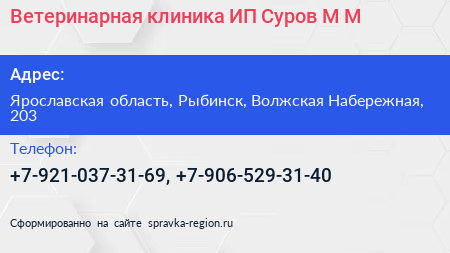 Ветеринарная клиника ИП Суров М М  - визитка