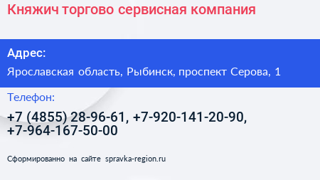 Княжич торгово сервисная компания - визитка