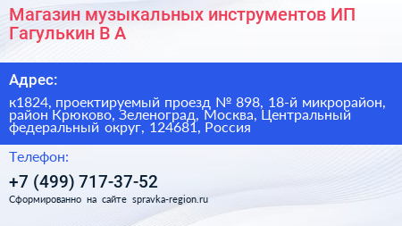 Магазин музыкальных инструментов ИП Гагулькин В А  - визитка