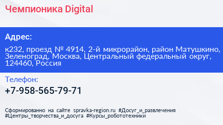 Чемпионика Digital - визитка