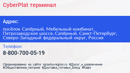 CyberPlat терминал - визитка