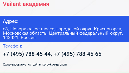 Vailant академия - визитка