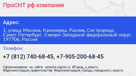 ПроСНТ рф компания - визитка
