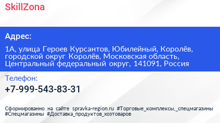SkillZona - визитка