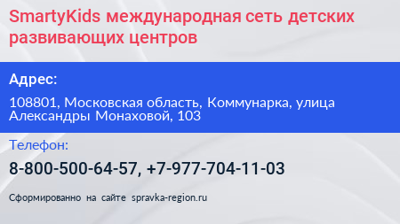 SmartyKids международная сеть детских развивающих центров - визитка