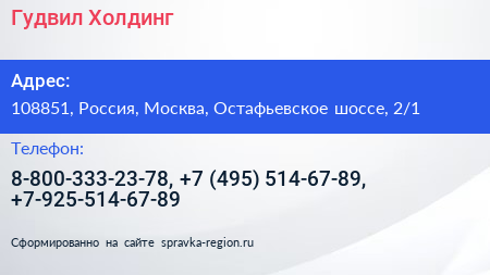 Гудвил Холдинг - визитка