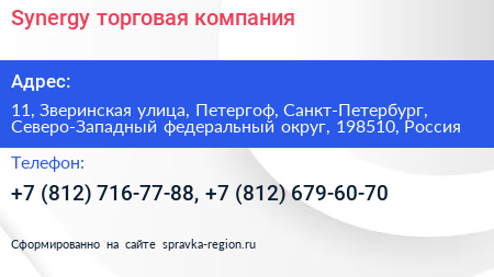 Synergy торговая компания - визитка