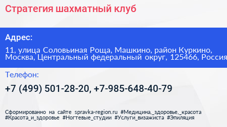 Стратегия шахматный клуб - визитка