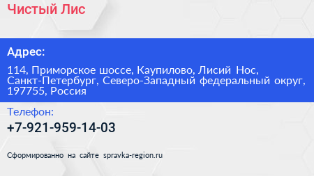 Чистый Лис - визитка