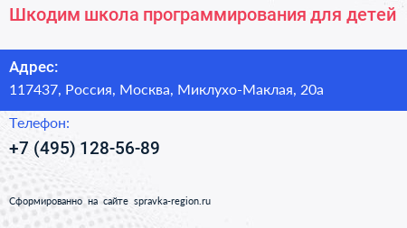 Шкодим школа программирования для детей - визитка