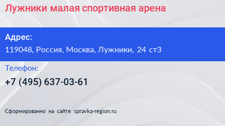 Лужники малая спортивная арена - визитка