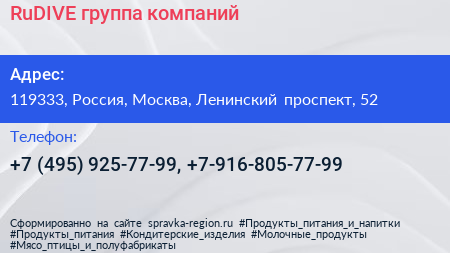 RuDIVE группа компаний - визитка