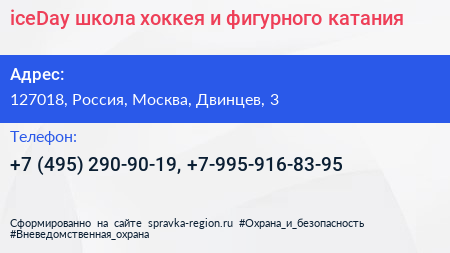 iceDay школа хоккея и фигурного катания - визитка