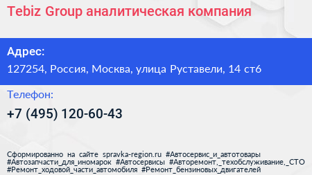 Tebiz Group аналитическая компания - визитка
