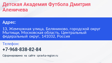 Детская Академия Футбола Дмитрия Аленичева - визитка