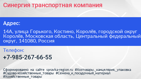 Синергия транспортная компания - визитка