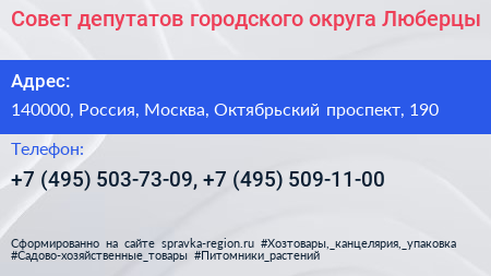 Совет депутатов городского округа Люберцы - визитка