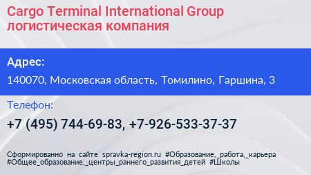 Cargo Terminal International Group логистическая компания - визитка