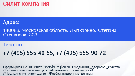 Силит компания - визитка