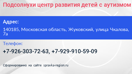 Подсолнухи центр развития детей с аутизмом - визитка