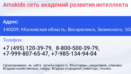 Amakids сеть академий развития интеллекта - визитка
