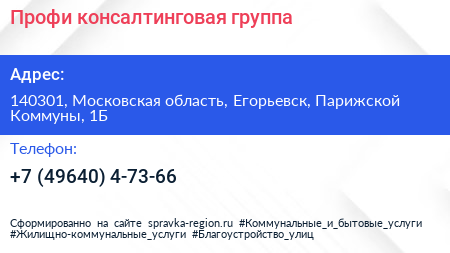 Профи консалтинговая группа - визитка