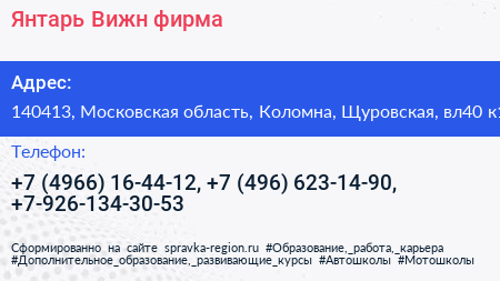 Янтарь Вижн фирма - визитка