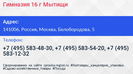 Гимназия 16 г Мытищи - визитка