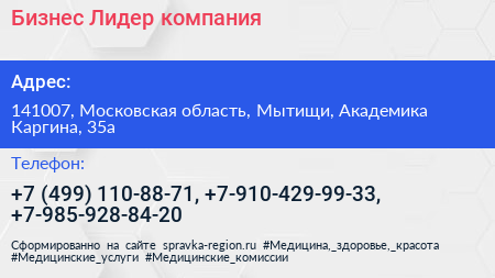 Бизнес Лидер компания - визитка